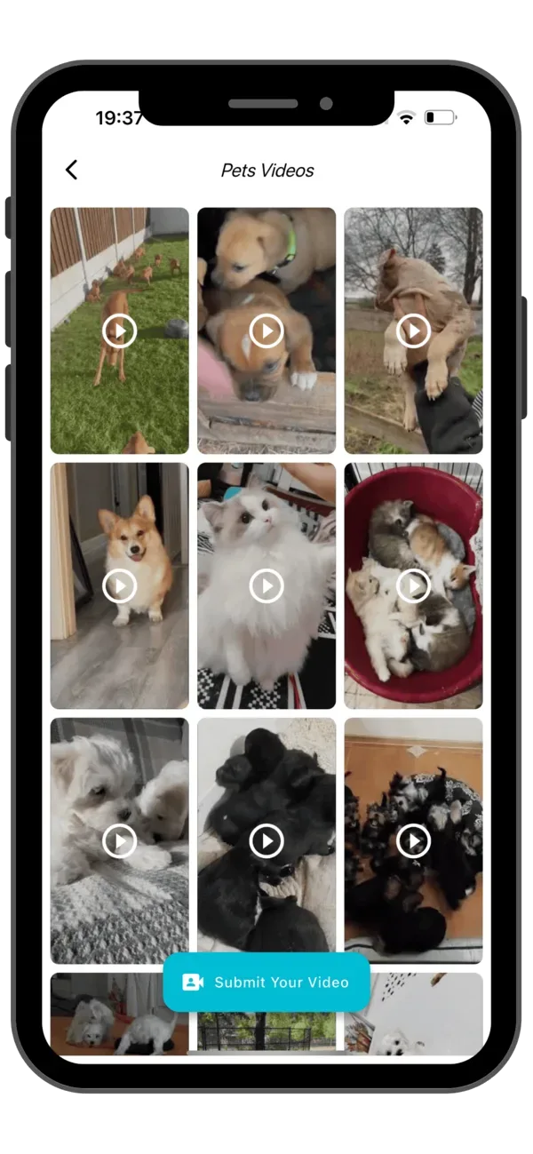 Pet TV